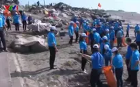 Hơn 1.000 đoàn viên thanh niên tham gia chiến dịch làm sạch biển