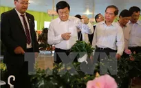 Chủ tịch nước khảo sát mô hình nông nghiệp cao tại Lâm Đồng
