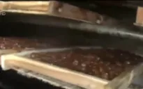 Hãi hùng công nghệ làm mứt táo bẩn