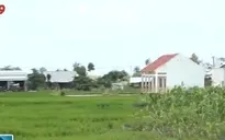 Đăk Lăk: Báo động tình trạng biến đất rừng thành nương rẫy