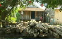 Làng gỗ - Biến tướng của đường dây gỗ lậu