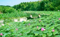 Láng Sen - Khu Ramsar thứ 7 của Việt Nam