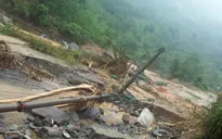 Lào Cai: Loay hoay chuyển đổi cây trồng nông nghiệp sau lũ