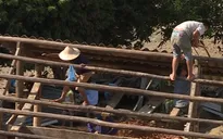 Lào Cai chung tay khắc phục hậu quả sau bão số 3