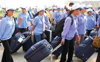 Tạm dừng tuyển dụng lao động đi Hàn Quốc năm 2016 ở một số địa phương