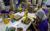Malaysia thiệt hại 6 tỷ USD do dừng tuyển lao động nước ngoài