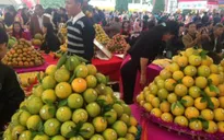500 tấn cam Cao Phong được bán trong ngày khai mạc