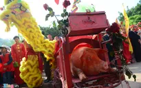 Không chém lợn công khai ở hội làng Ném Thượng