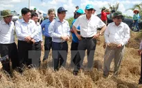 Liên Hợp Quốc hỗ trợ các tỉnh miền Trung bị thiệt hại vì thiên tai
