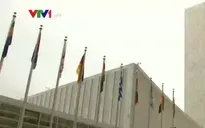 IMF và WB thành lập liên minh chống trốn thuế