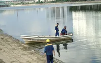 Nguồn nước hồ Linh Đàm không bị ô nhiễm