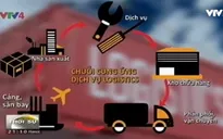 Dịch vụ logistics Việt Nam chiếm 20,9% GDP cả nước