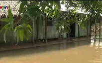 Sạt lở đê bao ở Vĩnh Long: Hàng chục hộ dân "màn trời chiếu đất" ngay đầu năm mới