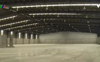 Nghịch lý cảng tốt nhưng doanh nghiệp logistics không phát triển