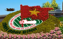 Lần đầu tiên Bình Định có đường hoa thanh niên
