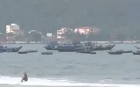 “Cá chết ở Đà Nẵng chưa có gì bất thường”