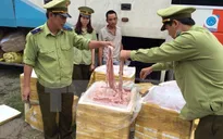 Tiêu hủy hơn 1,4 tấn lòng lợn thối tại Bình Dương