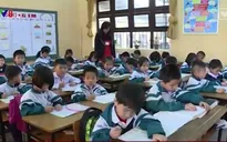 Cảnh báo tình trạng dụ dỗ, bắt cóc học sinh tiểu học