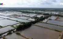 Biến đối khí hậu khiến lũ về muộn ở ĐBSCL