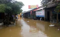 Hỗ trợ khẩn cấp tỉnh Bình Định 2.000 tấn gạo
