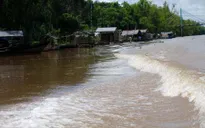 Lũ ở Đồng bằng sông Cửu Long về chậm