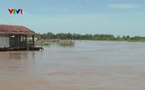 Làng vắng khi lũ không về
