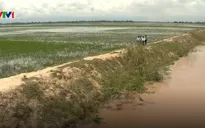 Người dân đồng bằng sông Cửu Long ngóng... lũ