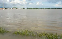Mưa lũ gây thiệt hại cho người dân Bình Thuận
