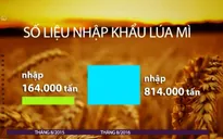 Vì sao lúa mì nhập khẩu tăng đột biến?