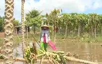 Người dân Đồng bằng sông Cửu Long vui mừng khi lũ về