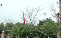 Quảng Trị nâng cấp lưới điện cho người dân đón Tết Nguyên đán 2016