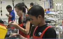 Malaysia dỡ bỏ một phần lệnh cấm thuê lao động nước ngoài
