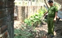 Quảng Nam: Phát hiện vườn cần sa sau tiệm cắt tóc