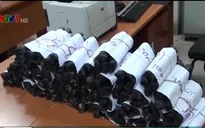 Triệt phá nhiều đường dây ma túy lớn nhờ hiệp đồng tác chiến