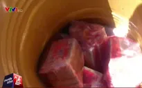 Colombia thu giữ gần nửa tấn cocaine giấu trong dâu tây