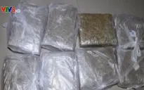 Phá chuyên án buôn bán cần sa cực lớn tại Huế