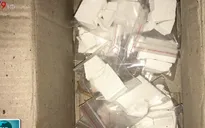 TP.HCM triệt phá nhiều vụ án ma túy lớn