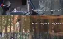 Hành trình mãi lộ của xe chở gỗ trái phép