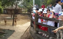TP.HCM: Học sinh được nghỉ học nếu áp thấp nhiệt đới vào thành phố