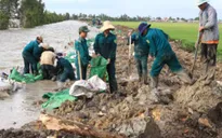 Long An công bố thiên tai do xâm nhập mặn cấp độ 2