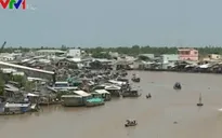 Mặn xâm nhập thành phố Cần Thơ