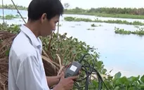 Hậu Giang công bố thiên tai xâm nhập mặn