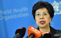 WHO họp khẩn về virus Zika