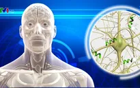 Phát hiện gen ngăn chặn sự phát triển của bệnh Alzheimer