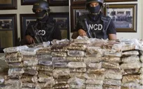 Cảnh sát Bolivia thu giữ gần 8 tấn cocaine