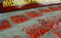Thái Lan thu giữ 6.000 viên ma túy đá