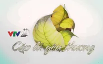 Cặp lá yêu thương: Chị Hai 10 tuổi thay mẹ lo chuyện no đói của các em