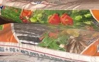PTTg Trương Hòa Bình yêu cầu xử lý nghiêm hành vi sản xuất phân bón giả
