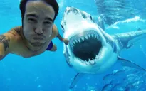Chụp ảnh selfie vô tội vạ có thể gây nguy hiểm chết người