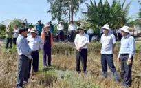 Bộ trưởng Cao Đức Phát kiểm tra công tác chống hạn Kon Tum